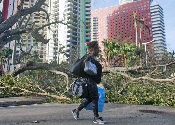 Devastation in the aftermath of Hurricane Irma