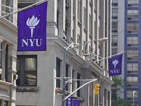 New York University